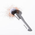 Powder Brush